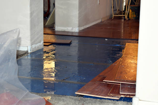Professional Burst Pipe Cleanup technician working in San Mateo, CA